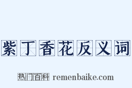 紫丁香花反义词是什么意思的图片